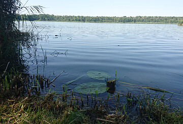 Segeln auf dem Köthener See