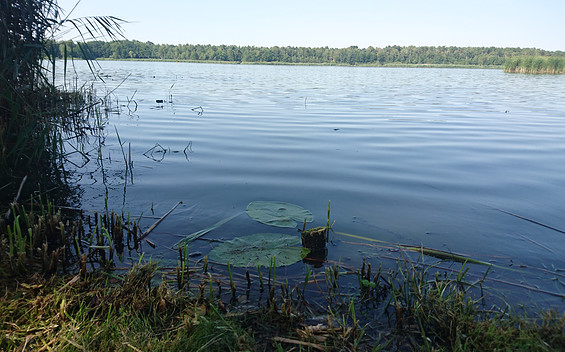 Sailing on Lake Köthener See