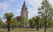 Evangelische Kirche - Blick durch die historischen Lindenpflanzungen, Foto: Boris Aehnelt