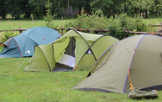 Zeltplatz, Foto: Landgasthof Zur Wildbahn