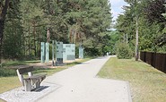 Waldfriedhof Halbe, Foto: Tourismusverband Dahme-See e.V/Pauline Kaiser
