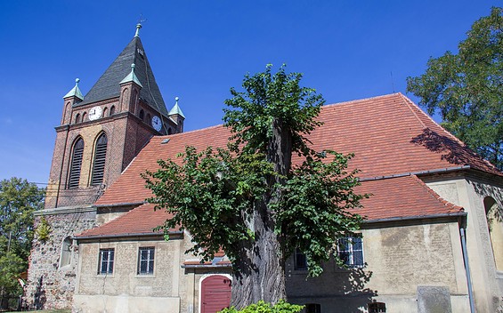St. Marienkirche Groß Kölzig, Foto: TMB-Fotoarchiv/ScottyScout