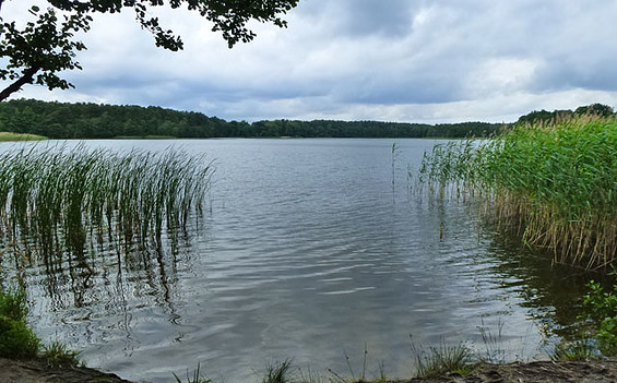 Badestelle Tornower See, Foto: Tourismusverband Dahme-Seenland e.V