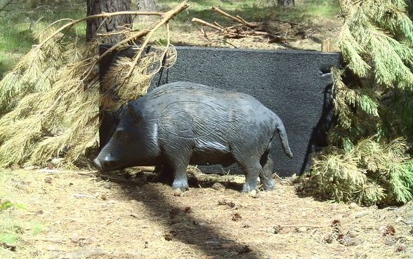 Künstliches Wildschwein, Foto: Zum Bogenbiwak