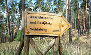 Weg zum Wehlaberg, Foto: Tourismusverband Dahme-Seenland e.V., Petra Förster