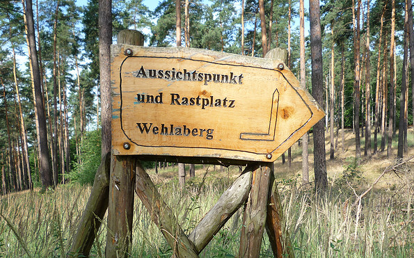 Weg zum Wehlaberg, Foto: Tourismusverband Dahme-Seenland e.V., Petra Förster