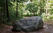 Teufelsstein im Naturpark Barnim, Foto: TMB-Fotoarchiv/Frank Meyer