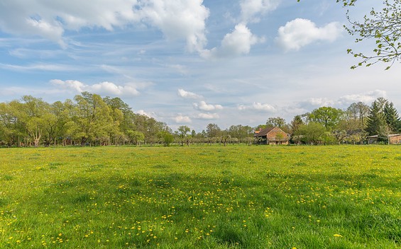 Through the Spreewald near Burg