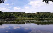 6-Seen-Tour im Naturpark Barnim, Foto: TMB-Fotoarchiv/Frank Meyer