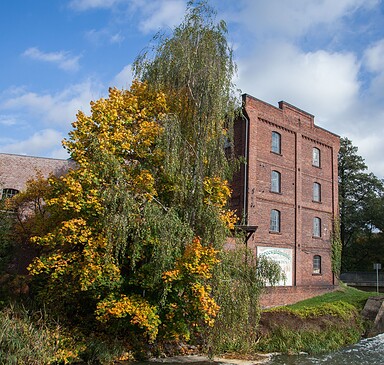 Spreewaldmühle Mill in Burg Harbour (Spreewald)