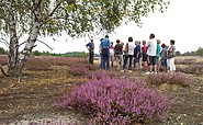 Heidewanderung im Naturpark Niederlausitzer Heidelandschaft, Foto: Tourismusverband Elbe-Elster-Land e.V.