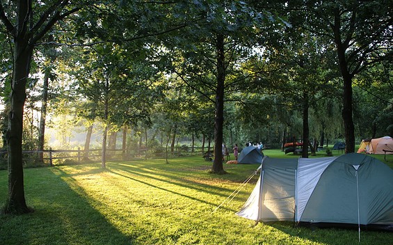 Zelten am Ostgraben, Foto: Bernd Seyberth