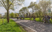 Fahrradfahren im Spreewald, Foto: TMB-Fotoarchiv/Steffen Lehmann