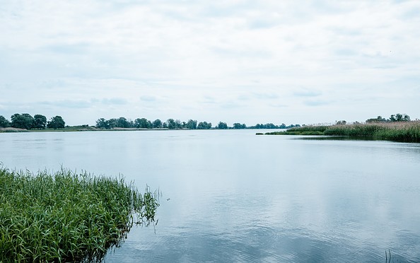 An der Oder, Foto: TMB-Fotoarchiv/Steffen Lehmann