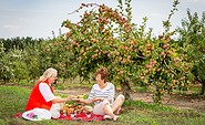 Picknick unterm Apfelbaum, Foto: Florian Läufer