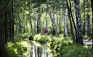 Gurkenradweg im Spreewald, Foto: TMB-Fotoarchiv/Paul Hahn