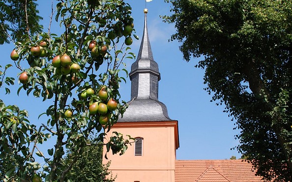 Kirche in Ribbeck, Foto: Tourismusverband Havelland e.V.
