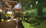 Großes Fischaquarium, Foto:TMB-Fotoarchiv/Hendrik Silbermann