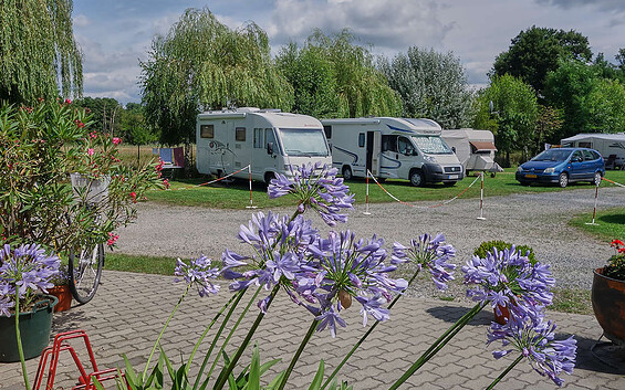 Foto: Spreewald-Caravan-Camping "Dammstraße"