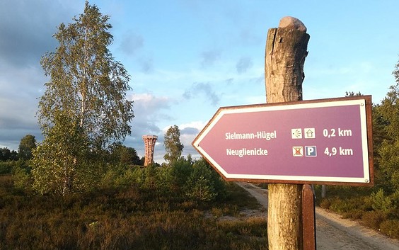 Natur- und Landschaftsführungen durch die Kyritz-Ruppiner-Heide mit Günter Lutz
