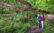 Märkische Schweiz, Foto: Seenland Oder-Spree/Florian Läufer