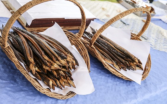 Aal, Foto: Floris Langendam (Pixabay)