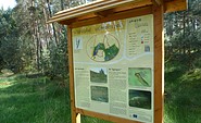 Infotafel am Wildnispfad, Foto: Stiftung Naturlandschaften Brandenburg
