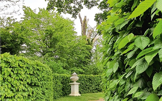 Mit Heinrich durch den Schlosspark