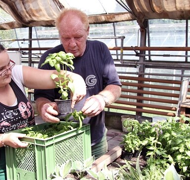 Lobetal Organic Market Garden