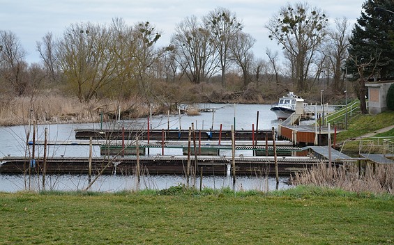 Seesportclub Schwedt e.V., town harbour
