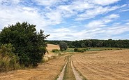 Feldweg bei Wittenberg, Foto: Frank Meyer