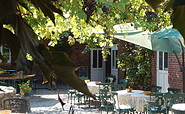 Vine-covered courtyard terrace, photo: Hotel Alte Försterei Kloster Zinna