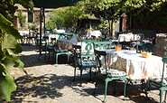 Idyllic, vine-covered courtyard terrace, photo: Hotel Alte Försterei Kloster Zinna