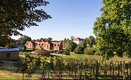 View from the vineyard, photo: Schlosswirt Meseberg