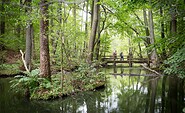 Naturpark Schlaubetal, Foto: Seenland Oder-Spree/Florian Läufer