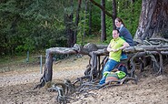 Werlsee Grünheide (Mark), Foto: Seenland Oder-Spree/Florian Läufer