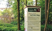 Gesundheitsweg, Foto: Bad Freienwalde Tourismus GmbH