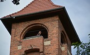 oben auf dem Kaiser-Friedrich-Turm, Foto: Tourismusverein Naturpark Barnim