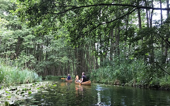 Tagestour Lychener Seenkreuz, Foto: Anet Hoppe (BY-NC-ND)