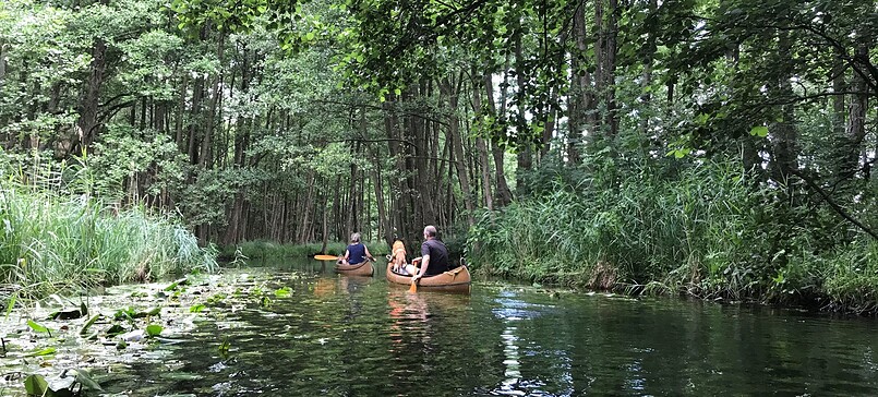 Tagestour Lychener Seenkreuz, canoe tour