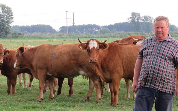 Landwirt Rainer Herzlieb auf der Weide, Foto: Foto: Marleen Herzlieb