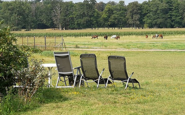 Koppelblick