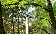 Markierung für &quot;Lesefährte Waldweisen&quot;, Foto: Dana Klaus, Lizenz: Tourismusverband Dahme-Seenland e.V.