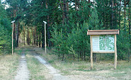 Lesefährte Waldweisen, Waldweg, Foto: Dana Klaus, Lizenz: Tourismusverband Dahme-Seenland e.V.