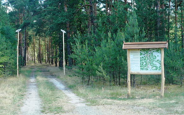 &quot;Lesefährte Waldweisen&quot; Forest path, Foto: Tourismusverband Dahme-Seenland e.V., Dana Klaus, Foto:  Dana Klaus, Lizenz: Tourismusverband Dahme-Seenland e.V.