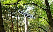 Marker for &quot;Lesefährte Waldweisen&quot;, Foto: Dana Klaus, Lizenz: Tourismusverband Dahme-Seenland e.V.