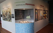 Besucher- und Informationszentrum Geopark, Ausstellung, Foto: Amt Joachimsthal (Schorfheide), Lizenz: Amt Joachimsthal (Schorfheide)