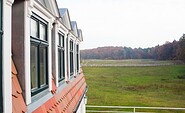 Blick auf Koppel