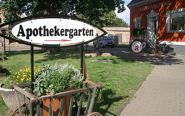Apothekergarten, Foto: Beatrix Schlegel