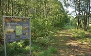 Hike Langes Luch, information board forest, Foto: LIFE Feuchtwälder, Lizenz: Stiftung NaturSchutzFonds Brandenburg